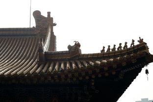 武汉宝通寺最新爆料,千年古刹焕新颜，文化传承与现代化并存